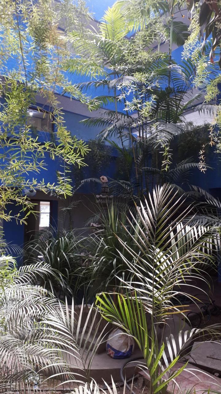 קצאלטננגו Hotel Kasa Kamelot 2 מראה חיצוני תמונה