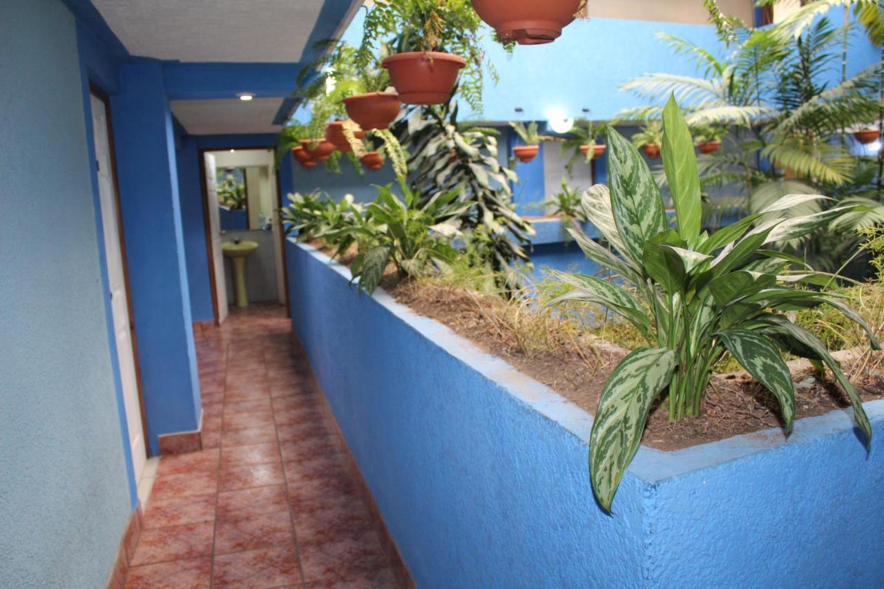 קצאלטננגו Hotel Kasa Kamelot 2 מראה חיצוני תמונה