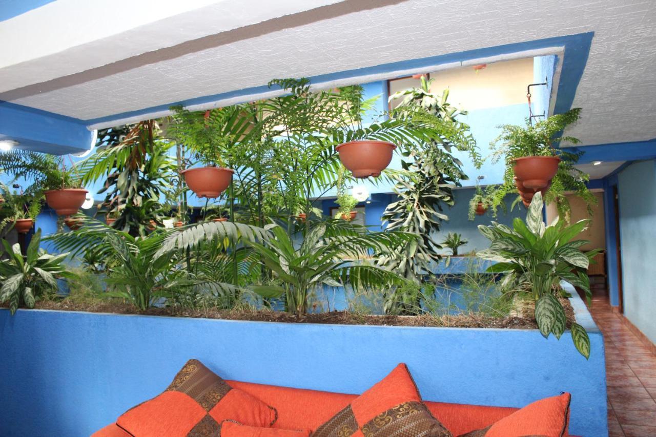 קצאלטננגו Hotel Kasa Kamelot 2 מראה חיצוני תמונה