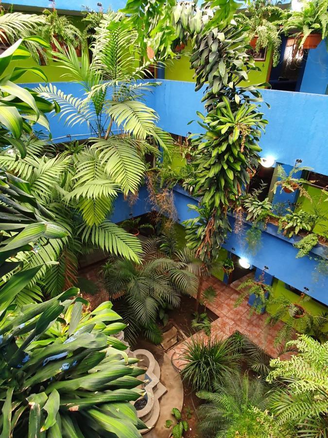קצאלטננגו Hotel Kasa Kamelot 2 מראה חיצוני תמונה